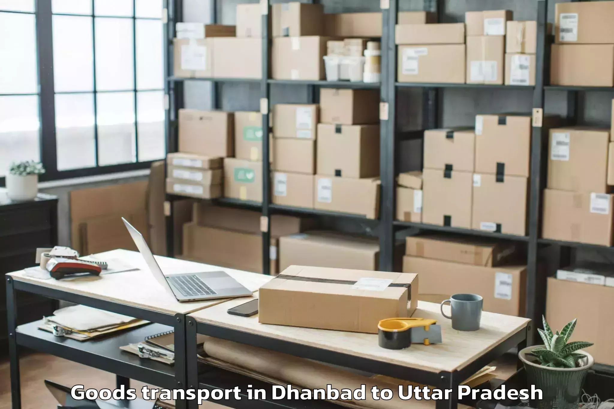 Top Dhanbad to Handia Goods Transport Available